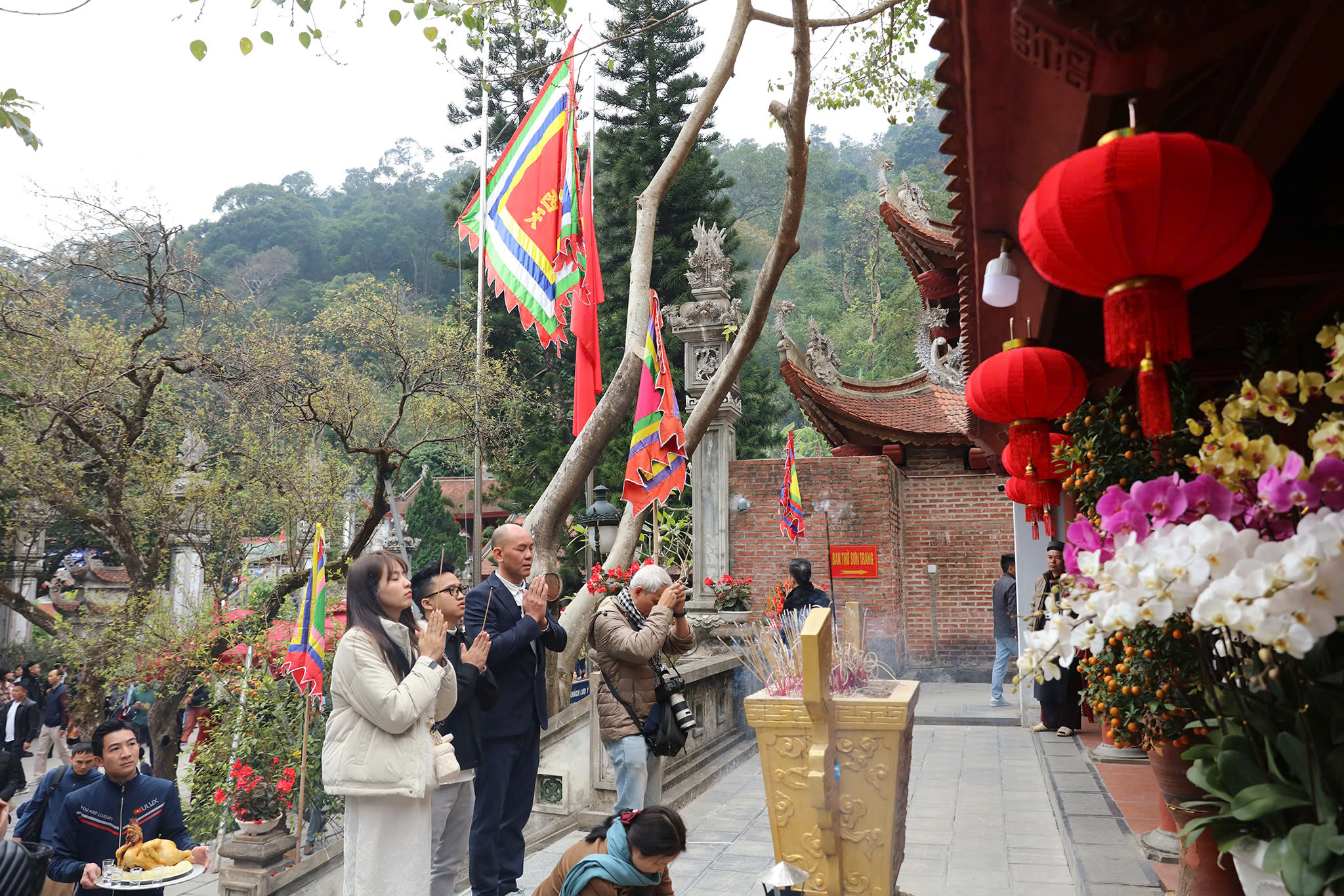 482011414 956797223269104 7310769488553252195 N