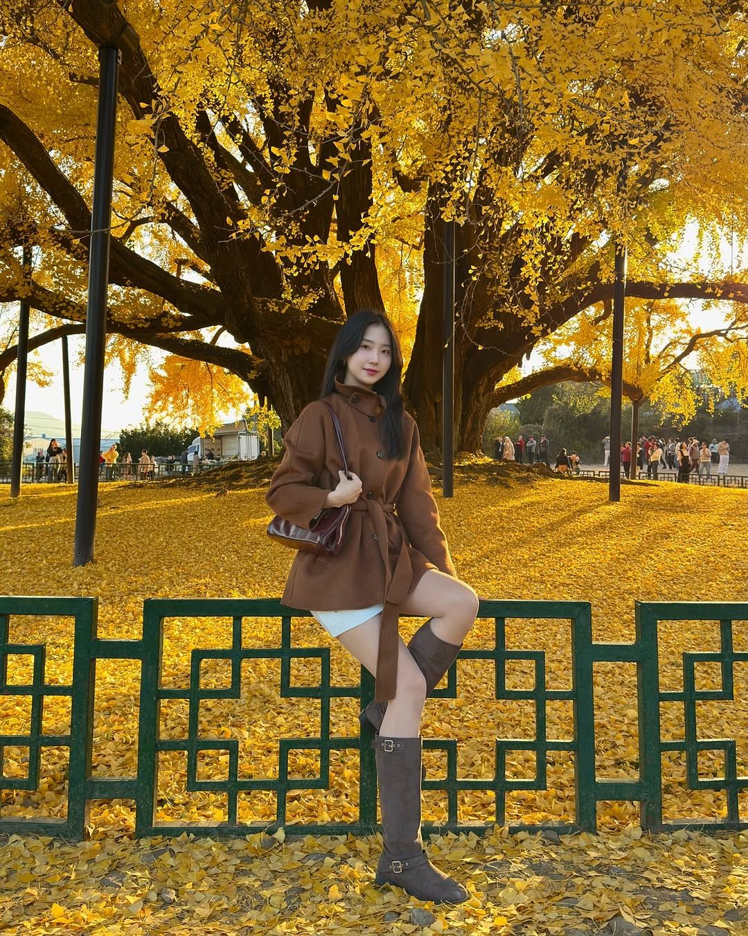 573093090 1233548692140668 2300737211116755254 N