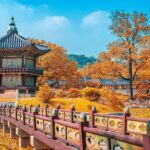 532102573 4221998551354779 3988192820495971890 N